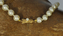 Load image into Gallery viewer, 17 Inch Pearl Strand