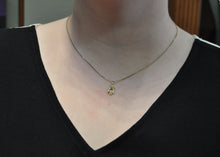 Load image into Gallery viewer, Penguin Pendant or Charm