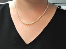 Load image into Gallery viewer, 18" Graduated Pearl Strand