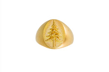 Load image into Gallery viewer, Tree Hugger Ring