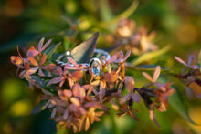 Load image into Gallery viewer, Twisted Aquamarine Ring
