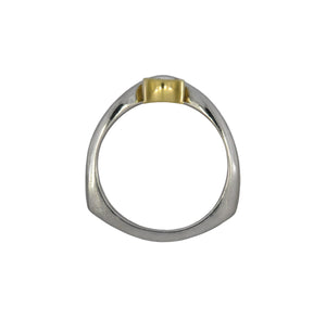 gold and white gold ring on a white background