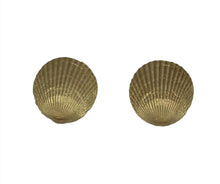 Load image into Gallery viewer, Seashells in Yellow Gold

