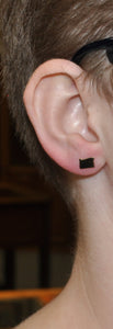 Shape of Oregon Earrings