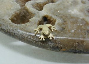 Frog earrings