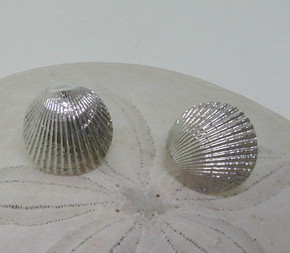 Shell earrings reminiscent of beach days