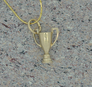 Who Deserves an Award Trophy? Charm/Pendant