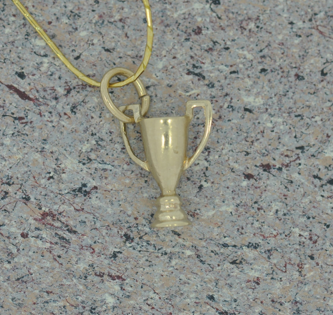 Who Deserves an Award Trophy? Charm/Pendant