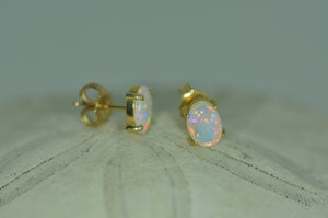 7 x 5 mm Oval Opal Studs in Yellow Gold